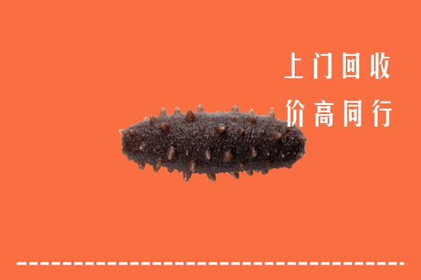 广元市高价回收海参